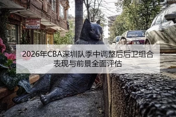 2026年CBA深圳队季中调整后后卫组合表现与前景全面评估